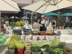 多女性正在数字经济的海潮中握住了属于本人的